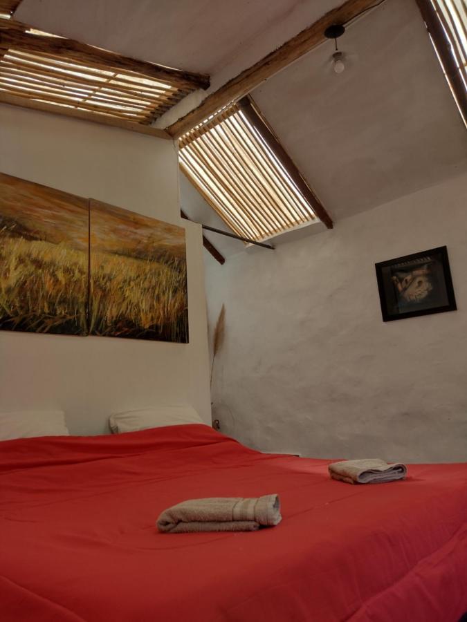 Dormir Con Llamas Maimara Exterior photo